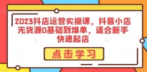 2023抖店运营实操课,抖音小店无货源0基础到爆单,适合新手快速起店-淘金日记