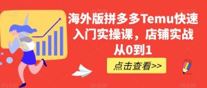 海外版拼多多Temu快速入门实操课,店铺实战从0到1-淘金日记