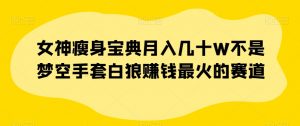 女神瘦身宝典月入几十W不是梦空手套白狼赚钱最火的赛道【揭秘】-淘金日记
