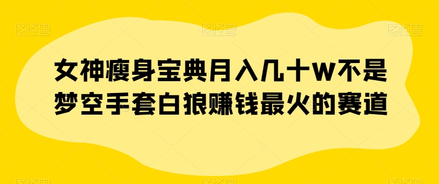 女神瘦身宝典月入几十W不是梦空手套白狼赚钱最火的赛道【揭秘】-淘金日记