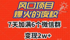 全网首发，爆火的夜校，7天加满6个微信群，变现2w+【揭秘】-淘金日记