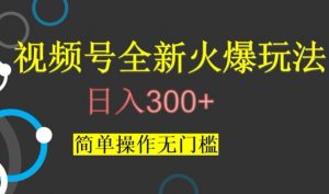 视频号最新爆火玩法，日入300+，简单操作无门槛【揭秘】-淘金日记