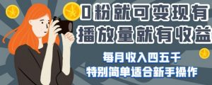 0粉就可变现，有播放量就有收益，每月收入四五千，特别简单适合新手操作【揭秘】-淘金日记