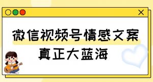 视频号情感文案，真正大蓝海，简单操作，新手小白轻松上手（教程+素材）【揭秘】-淘金日记