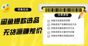 闲鱼无货源赚差价进阶玩法,爆款选品,资源寻找,引流变现全套教程(11节课)【揭秘】-淘金日记