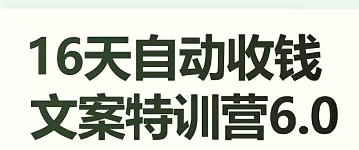 16天自动收钱文案特训营6.0,学会儿每天自动咔咔收钱-淘金日记