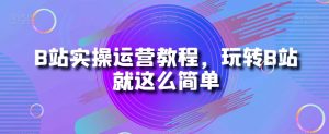 B站实操运营教程,玩转B站就这么简单-淘金日记