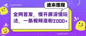 全网首发，慢开屏深情玩法，一条视频涨粉2000+【揭秘】-淘金日记