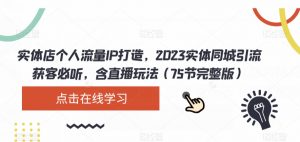 实体店个人流量IP打造，2023实体同城引流获客必听，含直播玩法（75节完整版）-淘金日记