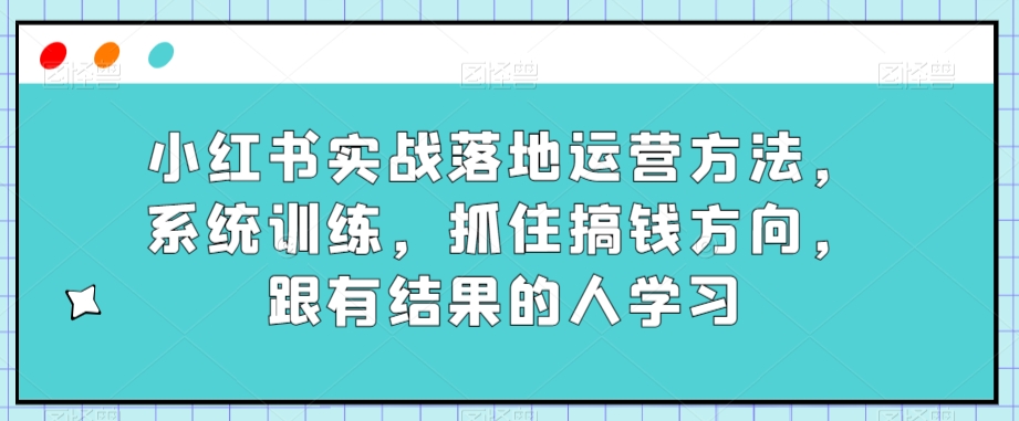 小红书实战落地运营方法,系统训练,抓住搞钱方向,跟有结果的人学习-淘金日记