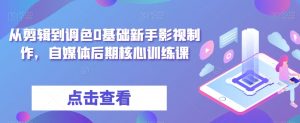 从剪辑到调色0基础新手影视制作,自媒体后期核心训练课-淘金日记