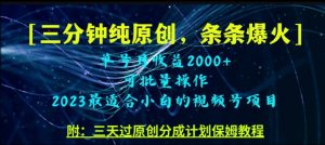 三分钟制作视频号纯原创，条条爆款，轻松月入过万【揭秘】-淘金日记