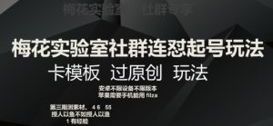 梅花实验室社群连怼起号玩法，卡模板过原创玩法【揭秘】-淘金日记
