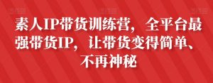 素人IP带货训练营,全平台最强带货IP,让带货变得简单、不再神秘-淘金日记