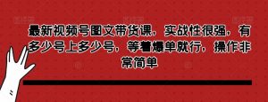 最新视频号图文带货课,实战性很强,有多少号上多少号,等着爆单就行,操作非常简单-淘金日记