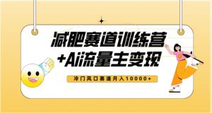 全新减肥赛道AI流量主+训练营变现玩法教程,蓝海冷门赛道小白轻松上手,月入10000+-淘金日记