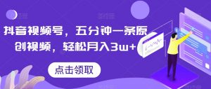 抖音视频号，五分钟一条原创视频，轻松月入3w+【独家秘诀，传授赚钱方法】【揭秘】-淘金日记