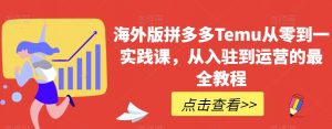 海外版拼多多Temu从零到一实践课,从入驻到运营的最全教程-淘金日记