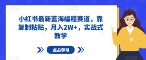 小红书最新蓝海编程赛道,靠复制粘贴,月入2W+,实战式教学【揭秘】-淘金日记