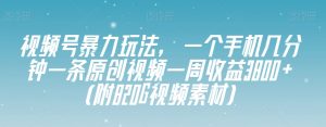 视频号暴力玩法,一个手机几分钟一条原创视频一周收益3800+(附820G视频素材)-淘金日记