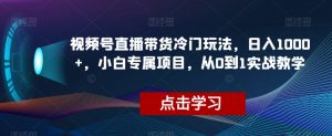 视频号直播带货冷门玩法，日入1000+，小白专属项目，从0到1实战教学【揭秘】-淘金日记