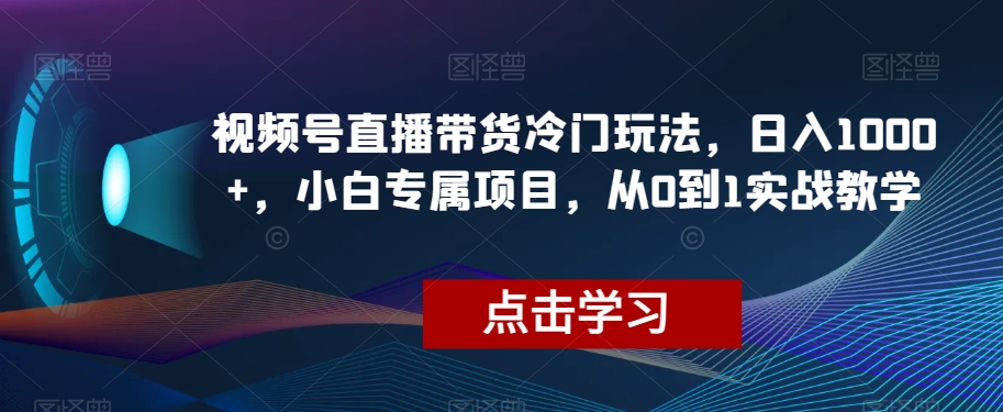 视频号直播带货冷门玩法，日入1000+，小白专属项目，从0到1实战教学【揭秘】-淘金日记