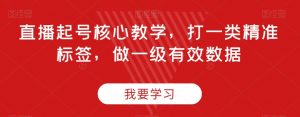 直播起号核心教学,打一类精准标签,做一级有效数据-淘金日记