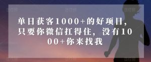 单日获客1000+的好项目，只要你微信扛得住，没有1000+你来找我【揭秘】-淘金日记