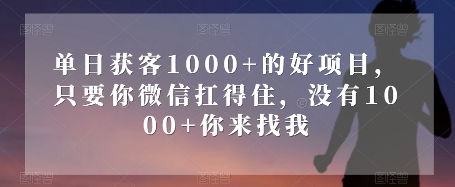 单日获客1000+的好项目，只要你微信扛得住，没有1000+你来找我【揭秘】-淘金日记