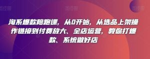 淘系爆款陪跑课,从0开始,从选品上架操作链接到付费放大、全店运营,教你打爆款、系统做好店-淘金日记