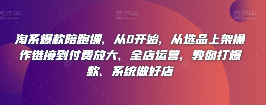 淘系爆款陪跑课,从0开始,从选品上架操作链接到付费放大、全店运营,教你打爆款、系统做好店-淘金日记