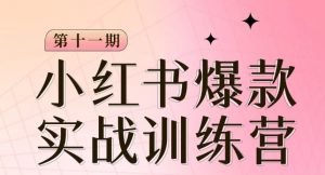 小红书博主爆款训练营第11期,手把手教你从0-1做小红书,从定位到起号到变现-淘金日记