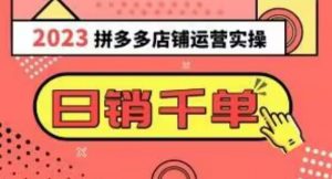 2023拼多多运营实操，每天30分钟日销1000＋，爆款选品技巧大全（10节课）-淘金日记