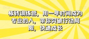 板砖训练营,用一年时间成为专业的人,带你突破行动局限,快速成长-淘金日记