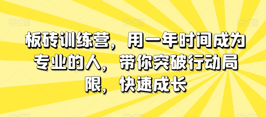 板砖训练营,用一年时间成为专业的人,带你突破行动局限,快速成长-淘金日记