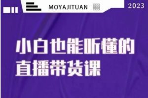 大威本威·能听懂的直播带货课,小白也能听懂,20节完整-淘金日记