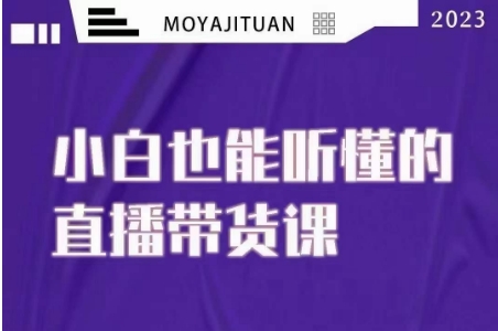 大威本威·能听懂的直播带货课,小白也能听懂,20节完整-淘金日记