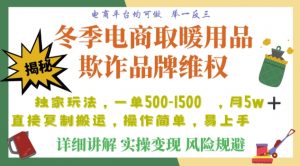 利用电商平台冬季销售取暖用品欺诈行为合理制裁店铺，单日入900+【仅揭秘】-淘金日记