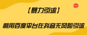 【暴力引流】利用百度平台在抖音无风险引流【揭秘】-淘金日记
