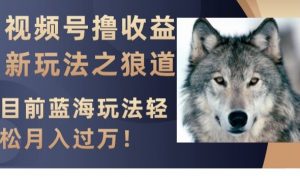 视频号撸收益新玩法之狼道,目前蓝海玩法,轻松月入过万【揭秘】-淘金日记
