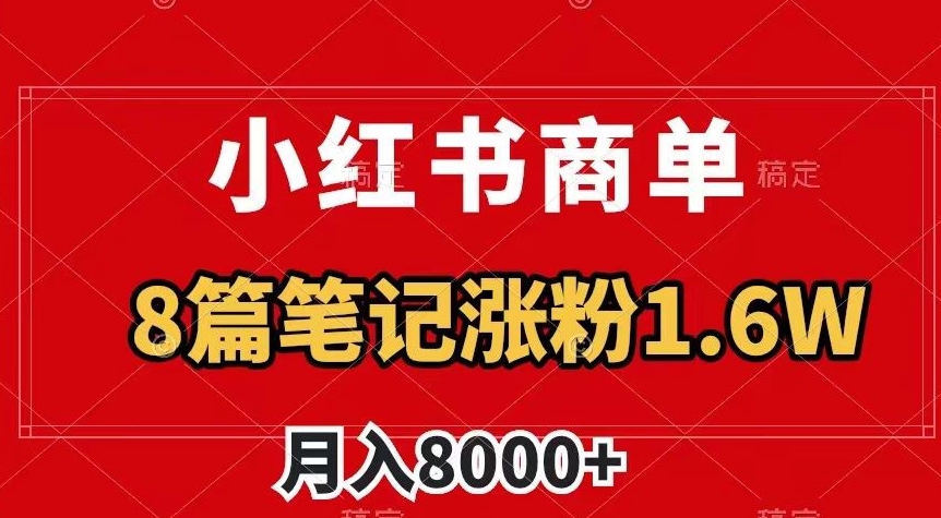 小红书商单最新玩法,8篇笔记涨粉1.6w,作品制作简单,月入8000+【揭秘】-淘金日记
