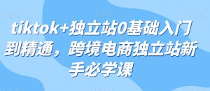 tiktok+独立站0基础入门到精通，跨境电商独立站新手必学课-淘金日记