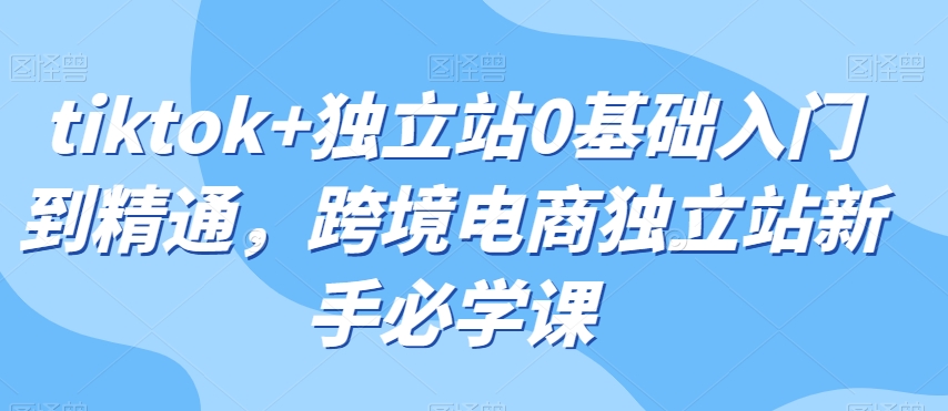 tiktok+独立站0基础入门到精通，跨境电商独立站新手必学课-淘金日记