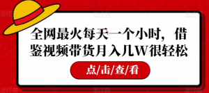 全网最火每天一个小时，借鉴视频带货月入几W很轻松【揭秘】-淘金日记