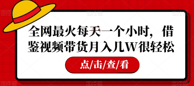 全网最火每天一个小时,借鉴视频带货月入几W很轻松【揭秘】-淘金日记