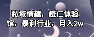 私域情趣,橙仁体验馆,暴利行业,月入2w【揭秘】-淘金日记