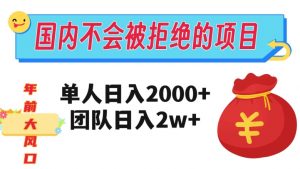 在国内不怕被拒绝的项目,单人日入2000,团队日入20000+【揭秘】-淘金日记