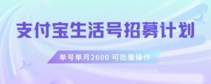 支付宝生活号作者招募计划，单号单月2600，可批量去做，工作室一人一个月轻松1w+【揭秘】-淘金日记