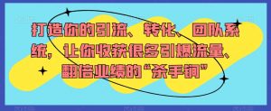 打造你的引流、转化、团队系统,让你收获很多引爆流量、翻倍业绩的“杀手锏”-淘金日记