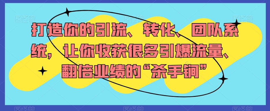 打造你的引流、转化、团队系统,让你收获很多引爆流量、翻倍业绩的“杀手锏”-淘金日记